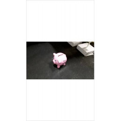 TIRELIRE COCHON