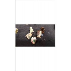 CANARD