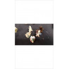 CANARD