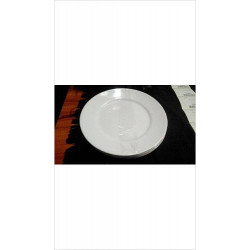 ASSIETTE PLASTIQUE LE LOT