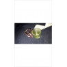 PHOTOPHORE PM