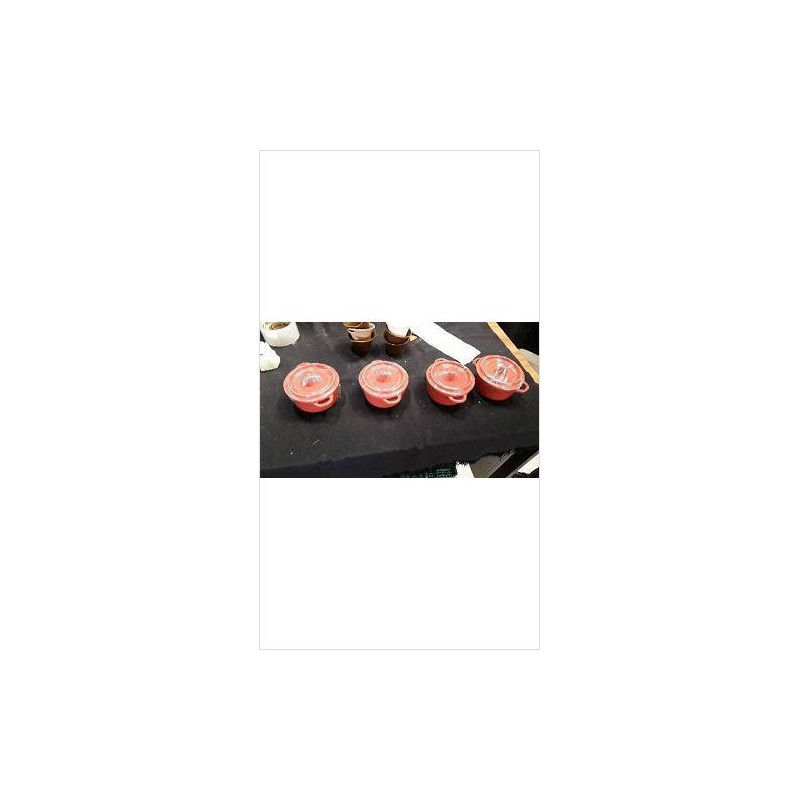 COCOTTE ROUGE PM