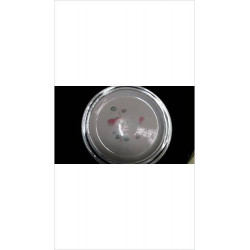 PLAT ROND FLEUR