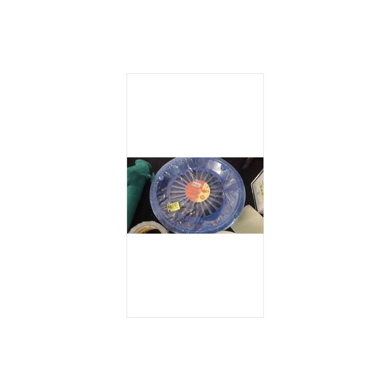 ASSIETTE BLEU