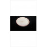 PLAT TARTE ROSE MM