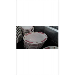 PLATS OVALES BORDS ROSES PM X4