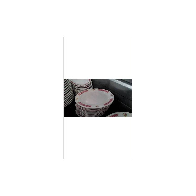 PLATS OVALES BORDS ROSES PM X4