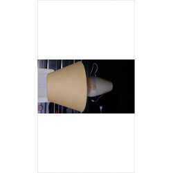 LAMPE A POSER
