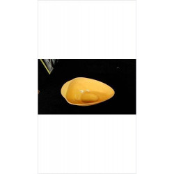 SAUCIERE SALINS JAUNE