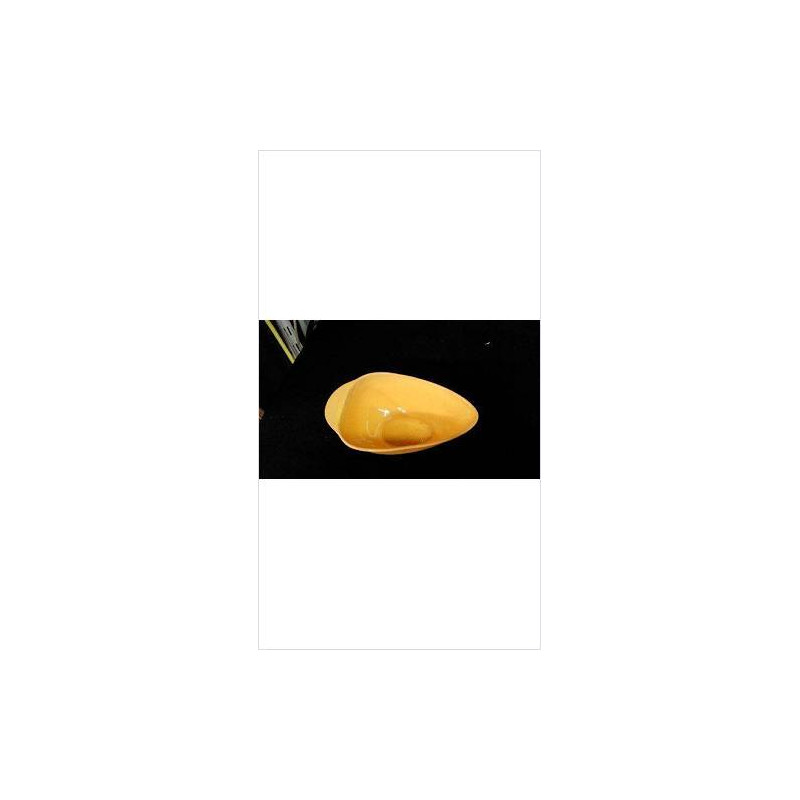 SAUCIERE SALINS JAUNE
