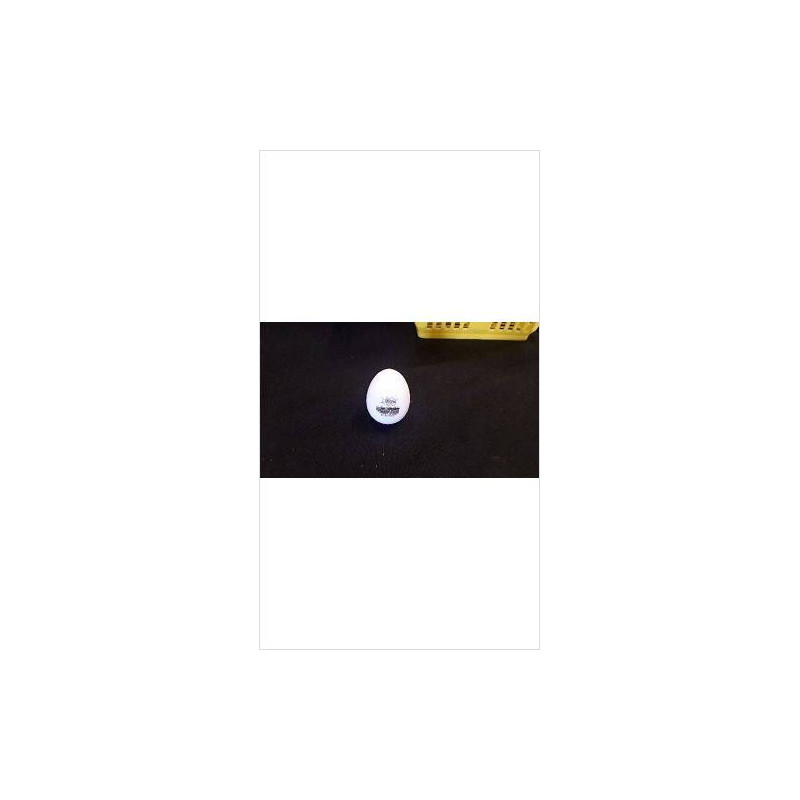 DECO OEUF