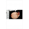 CORBEILLE CANARD