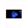 GUIRLANDE LUMINEUSE BOULES 