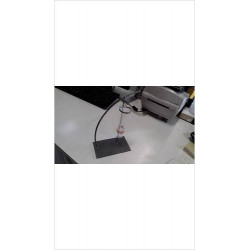 SOLIFLORE
