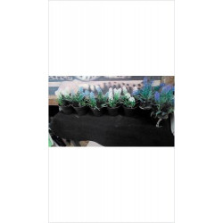 DECO FLEURS PM SYNTHTIQUE