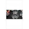 VERRES X2 