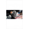 PELUCHE DODO
