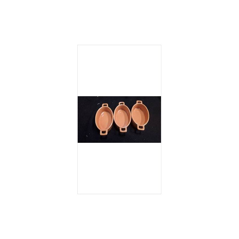 COCOTTES ORANGE X3