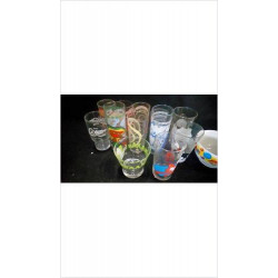 VERRE