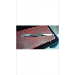 COUTEAU MANCHE NACRE