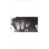 VERRE LE LOT 