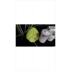 APPLIQUE COCCINELLE VERTE