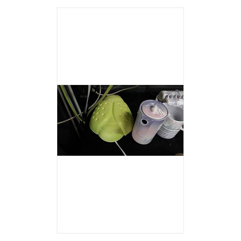 APPLIQUE COCCINELLE VERTE
