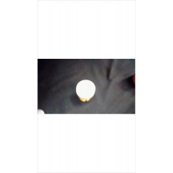 COQUETIER JAUNE 