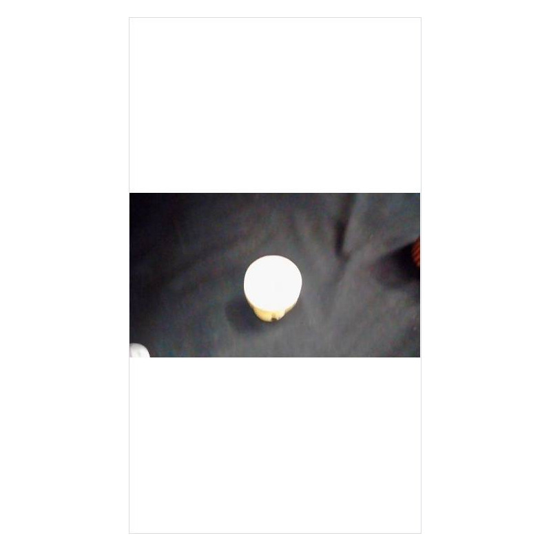 COQUETIER JAUNE 