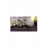 PLANTE ARTIFICIELLE 