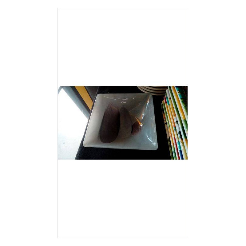 COUPELLE VERRE 