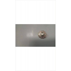 BROCHE SCHOOL 