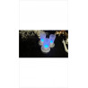 DECO LUMINEUSE LEDS RECHARGEABLE