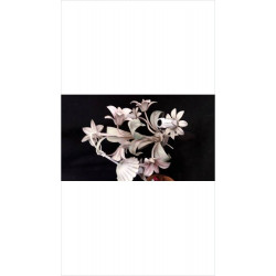 LUSTRE FLEURS 
