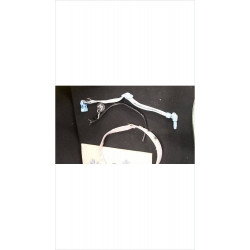 COLLIER CHIEN 