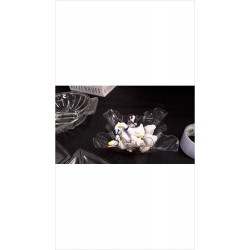 OIES MINIATURES LE LOT 