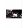 OIES MINIATURES LE LOT 