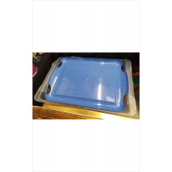 PLATEAU PLASTIQUE BLEU