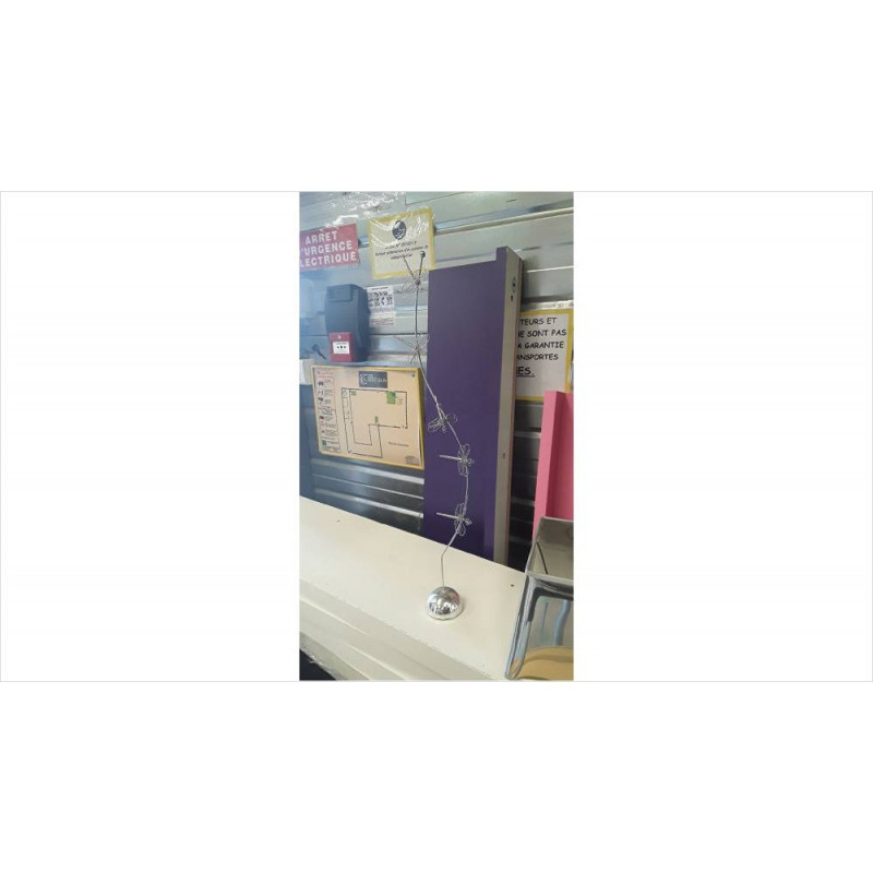 PORTE PHOTOS LIBELLULE AIMENTEE