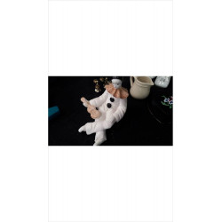 PIERROT BISCUIT 