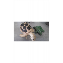 DECO TORTUE 