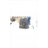 BUSTE EGYPTE 