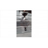 LUSTRE PESCATORE 