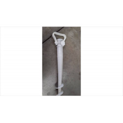 CAROTTE PARASOL