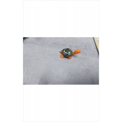 TORTUE PM