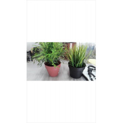 PLANTE ARTIFICIELLE PM 