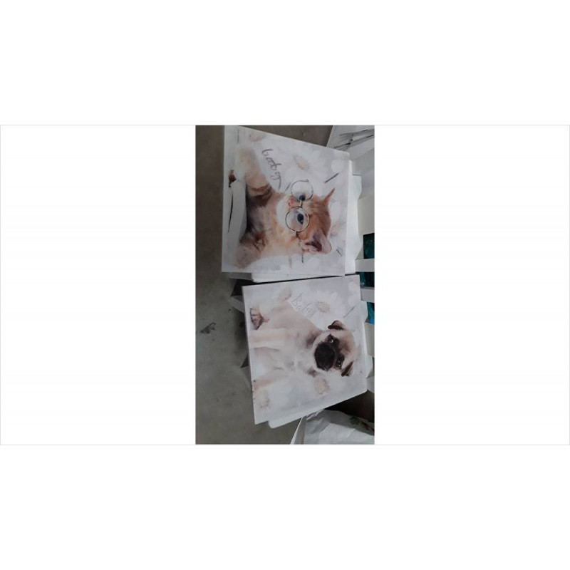 TOILE PM