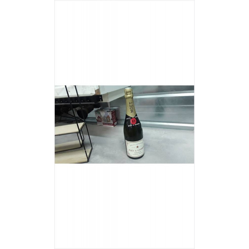 BOUTEILLE DECO CHAMPAGNE MOET
