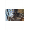 PIRTE PHOTOS 