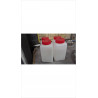 BOUTEILLE PLASTIQUE 
